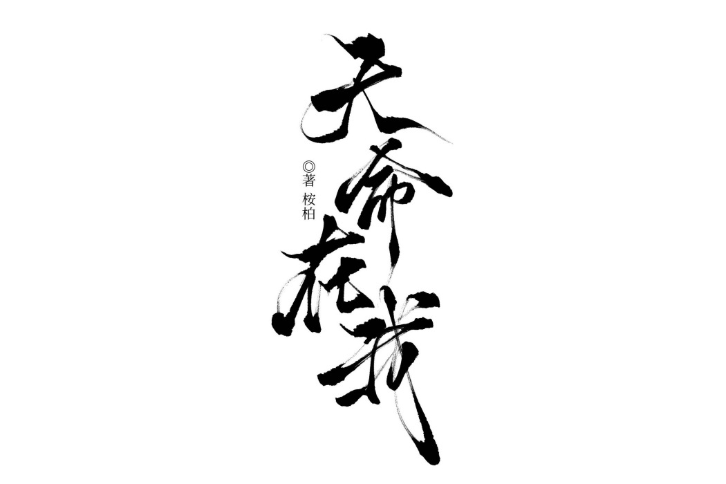 天命在我(桉柏所著小說) 天命在我(桉柏所著小說)