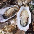 大連灣牡蠣 大連灣牡蠣