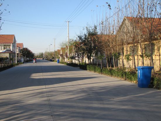 李仙村