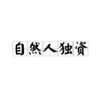 自然人獨資(個人獨資) 自然人獨資(個人獨資)