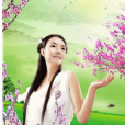 桃花詠 桃花詠