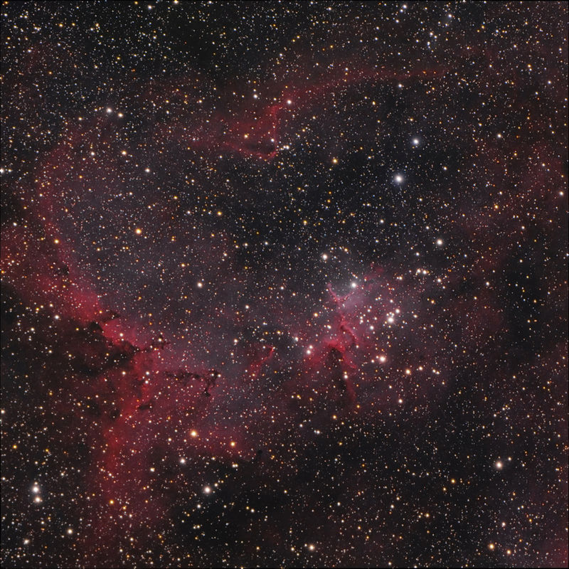 心臟星雲中心附近的疏散星團 Melotte 15。