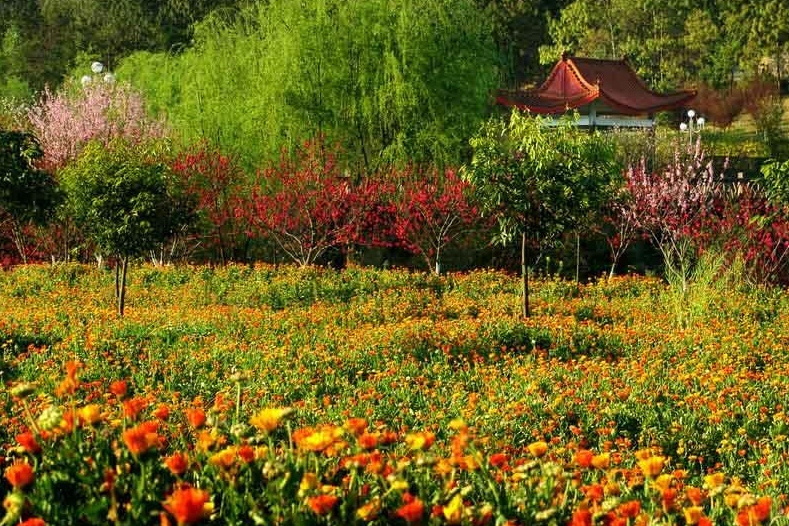 奇香園 奇香園