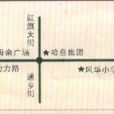 富麗國際 富麗國際