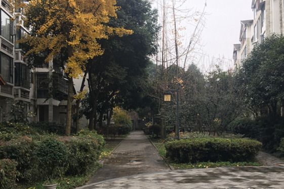 岷山園林 岷山園林