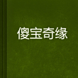 傻寶奇緣 傻寶奇緣