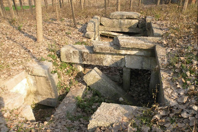 白山墓地 白山墓地