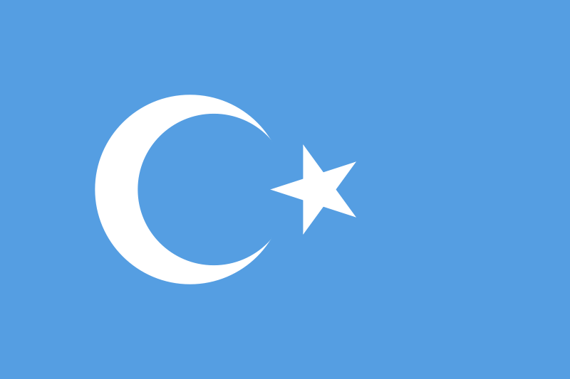 東突厥斯坦伊斯蘭運動