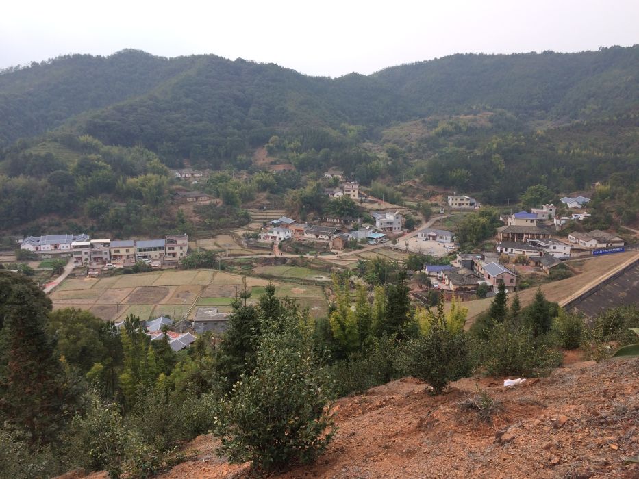 蕉留村 蕉留村