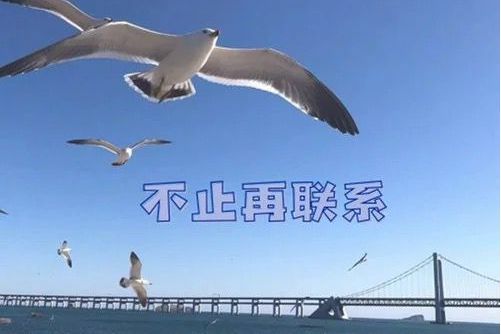 不止再聯繫(周森製作專輯) 不止再聯繫(周森製作專輯)
