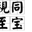 視同至寶 視同至寶