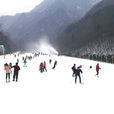 翠華山滑雪場