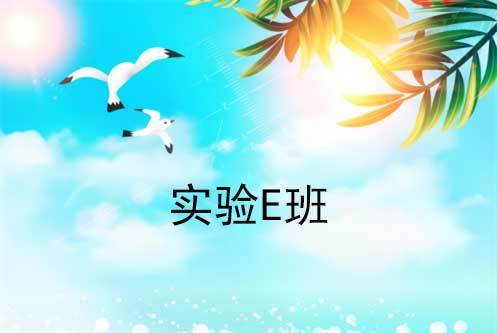 實驗E班 實驗E班