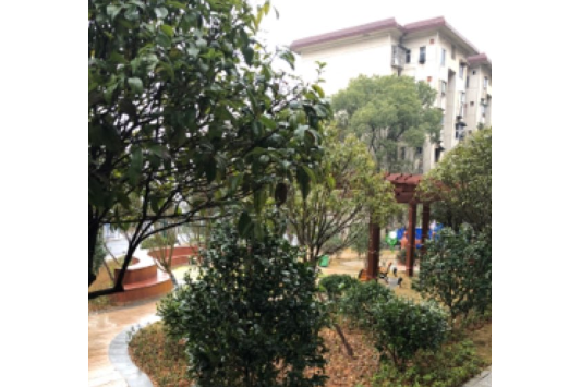 兔子坡小區 兔子坡小區