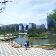 汝矣島公園 汝矣島公園