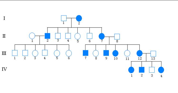 線粒體基因病系譜圖