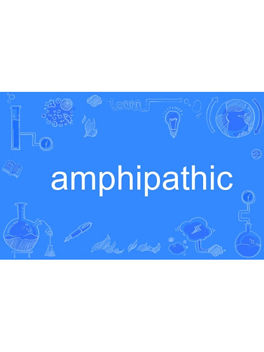 amphipathic amphipathic