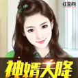 神婿天降 神婿天降