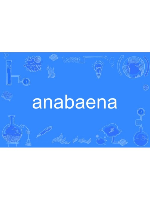 anabaena