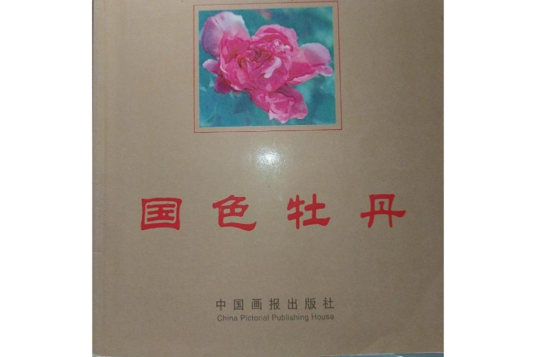 國色牡丹 國色牡丹