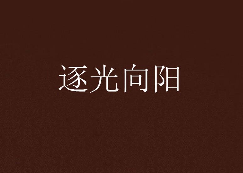 逐光向陽