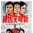 新啼笑因緣(啼笑因緣（1975年中國電影）)