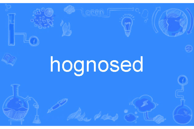 hognosed hognosed