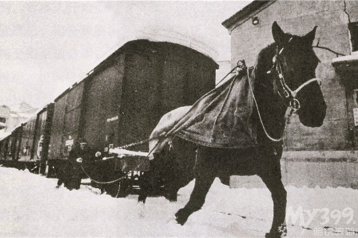 馬拉火車