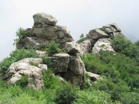 石佛松濤 石佛松濤