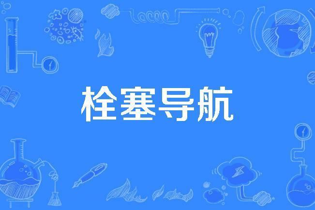 栓塞導航