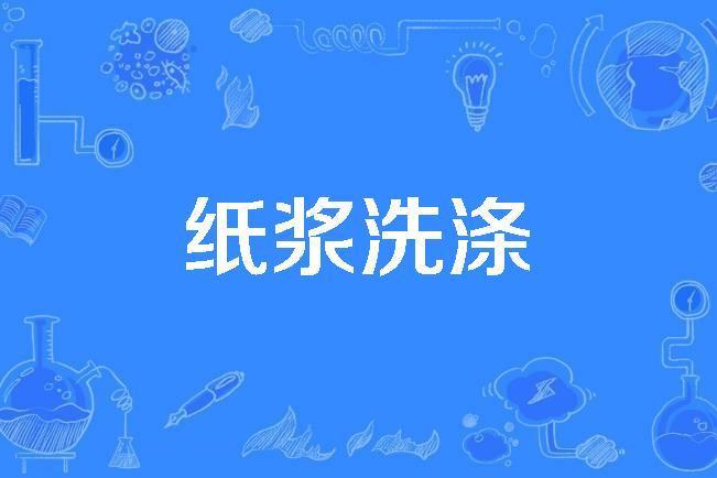 紙漿洗滌 紙漿洗滌