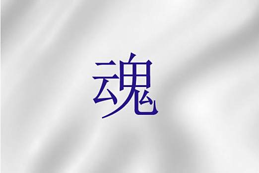 魂(聖經中人類生命本能的核心組成部分) 魂(聖經中人類生命本能的核心組成部分)