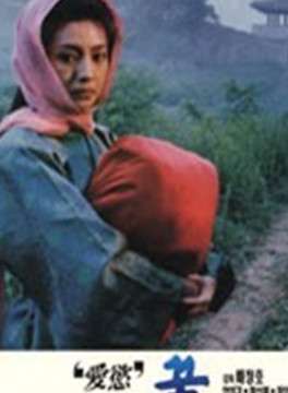 黃新惠