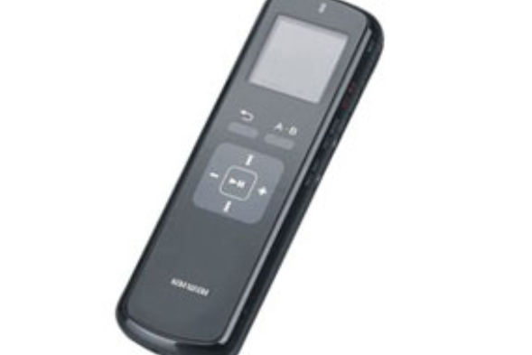 愛華D110(4GB) 愛華D110(4GB)