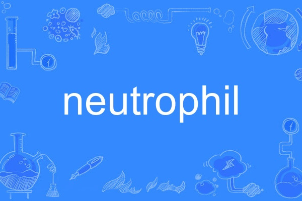 neutrophil neutrophil