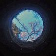 鏡花水月(作家瀟湘琳琅的小說) 鏡花水月(作家瀟湘琳琅的小說)