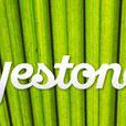yestone yestone