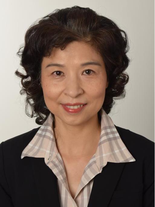 林樺(華中科技大學教授) 林樺(華中科技大學教授)