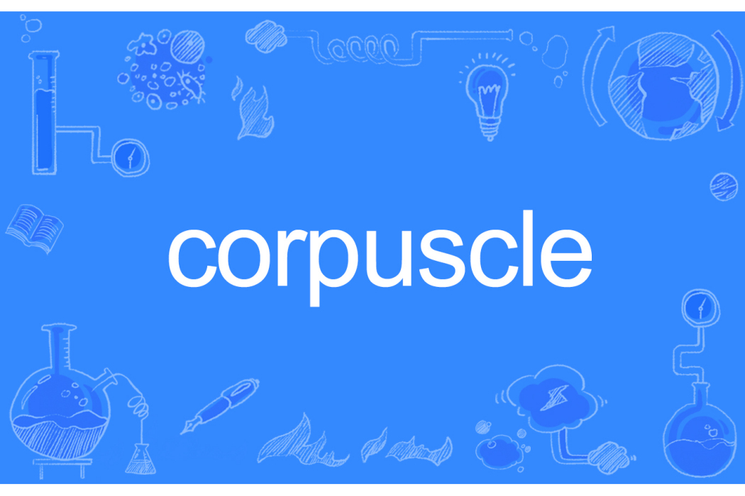 corpuscle corpuscle