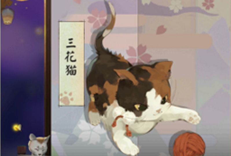 三花貓(遊戲《陰陽師》小動物) 三花貓(遊戲《陰陽師》小動物)