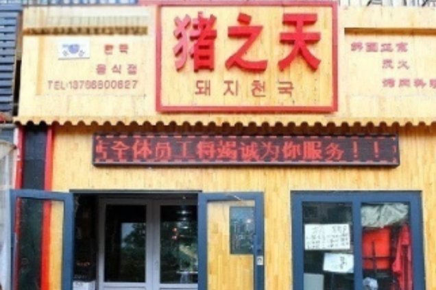 豬之天 豬之天