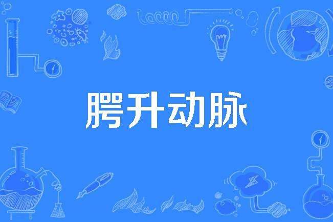 齶升動脈 齶升動脈