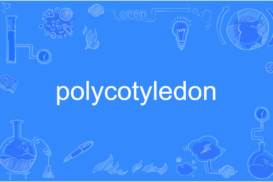 polycotyledon polycotyledon