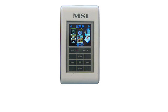 微星MS-5535(256MB) 微星MS-5535(256MB)