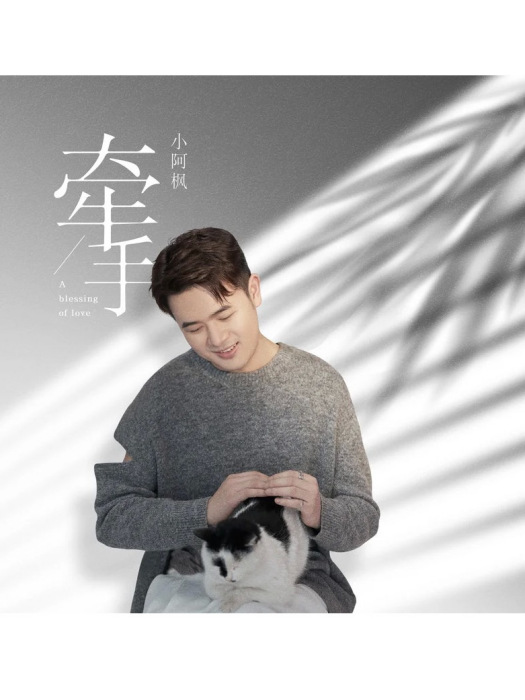 牽手(小阿楓演唱的歌曲) 牽手(小阿楓演唱的歌曲)