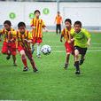 校園足球(一項在校園發展足球的政策)