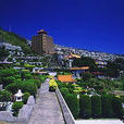 金寶山 金寶山