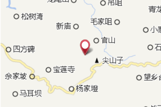 王興大隊