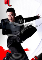 愛情呼叫轉移Ⅱ：愛情左右(2008年上映電影)