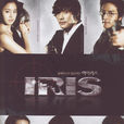 IRIS(韓國2009年李秉憲主演的電視劇) IRIS(韓國2009年李秉憲主演的電視劇)